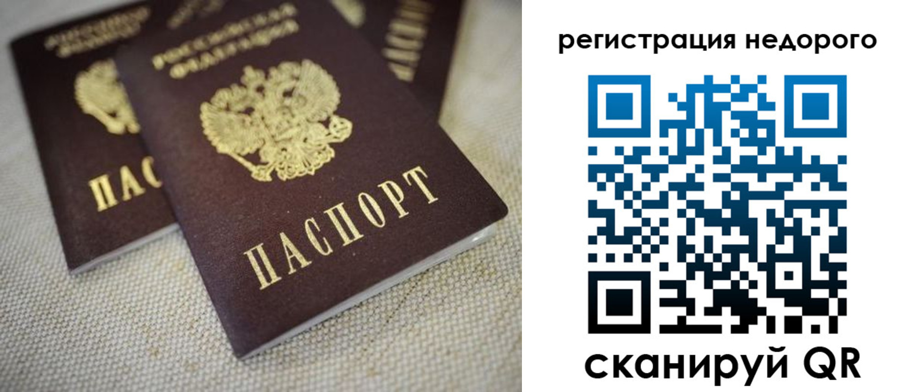 временная регистрация гарантия в Мончегорске